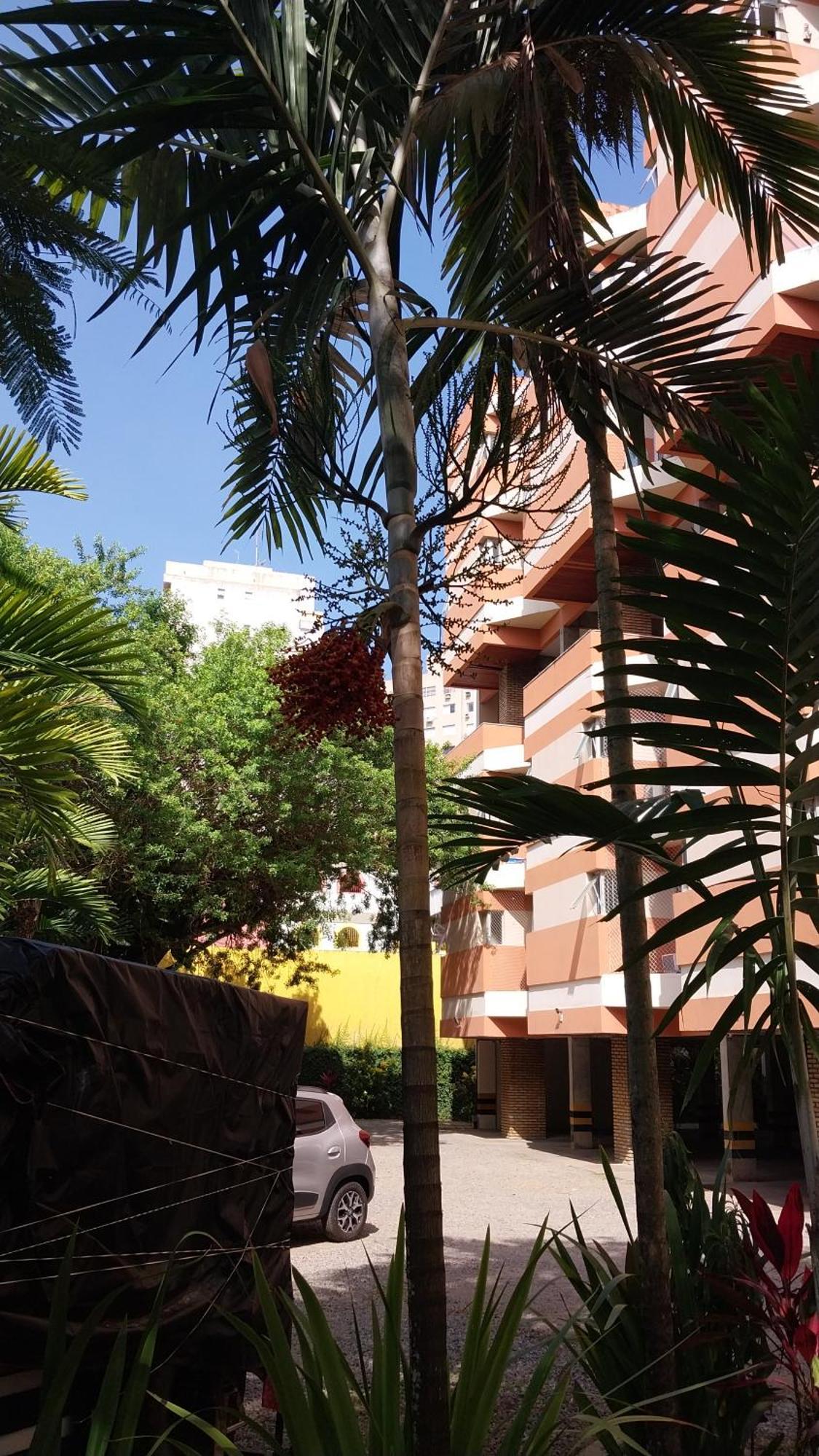 Apartamento Itaigara السلفادور المظهر الخارجي الصورة